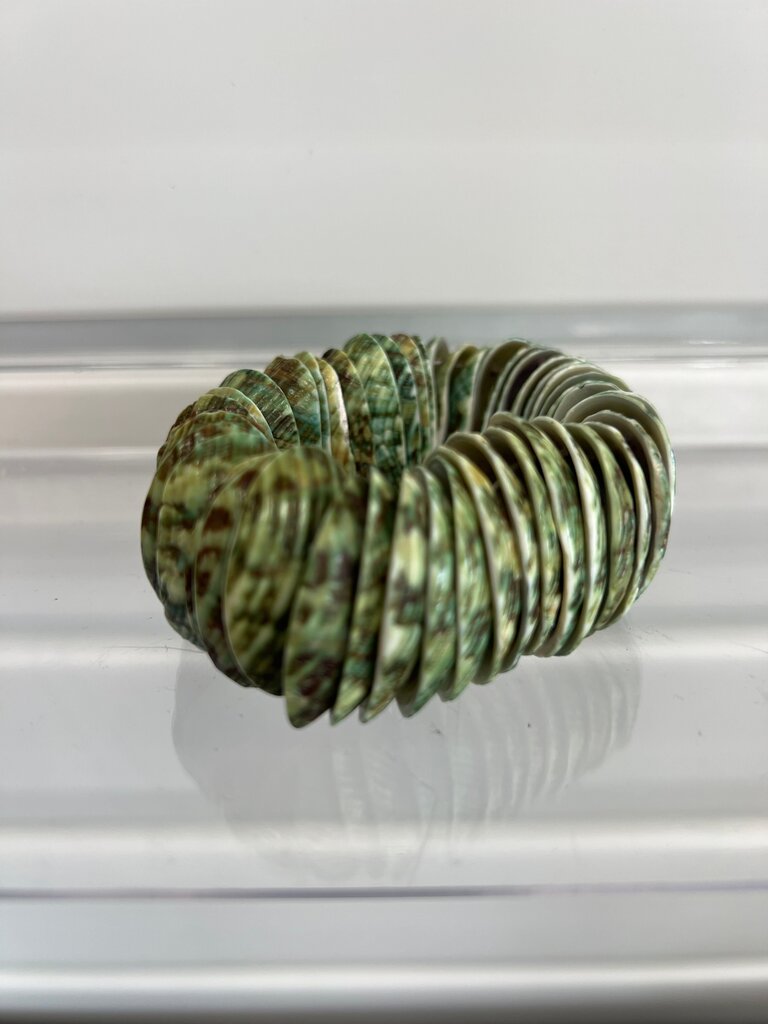 Green Shell Bracelet