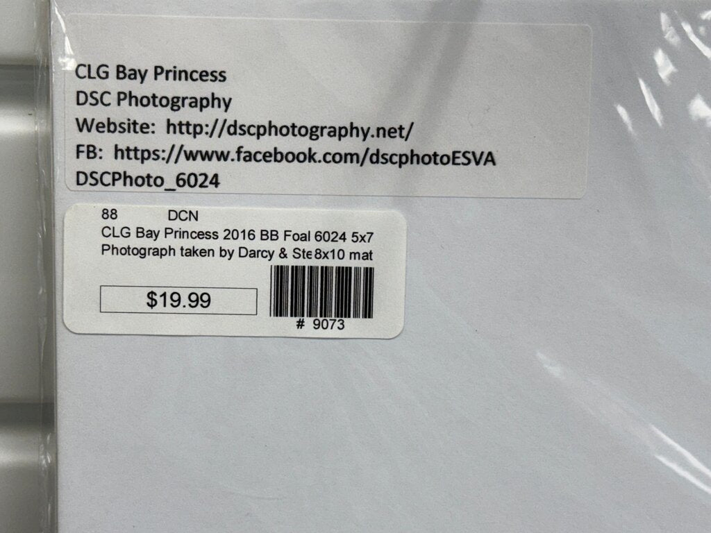CLG Bay Princess Photograph