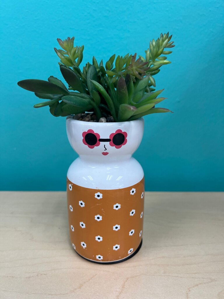Faux Succulent Planter with Sunglasses Design