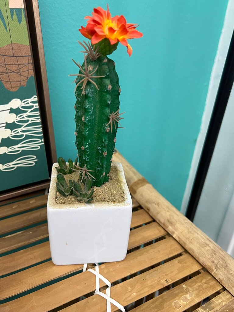 Artificial Cactus with Flower in White Pot