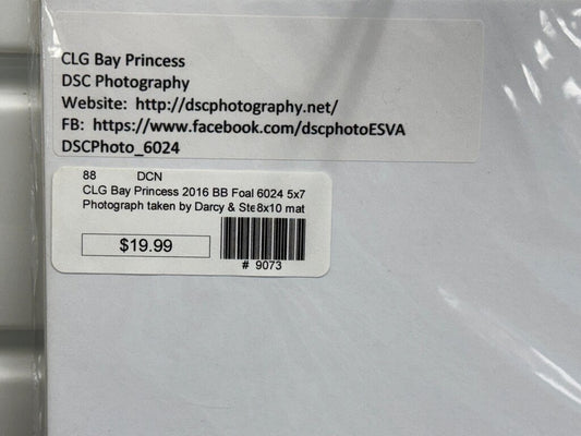 CLG Bay Princess Photograph