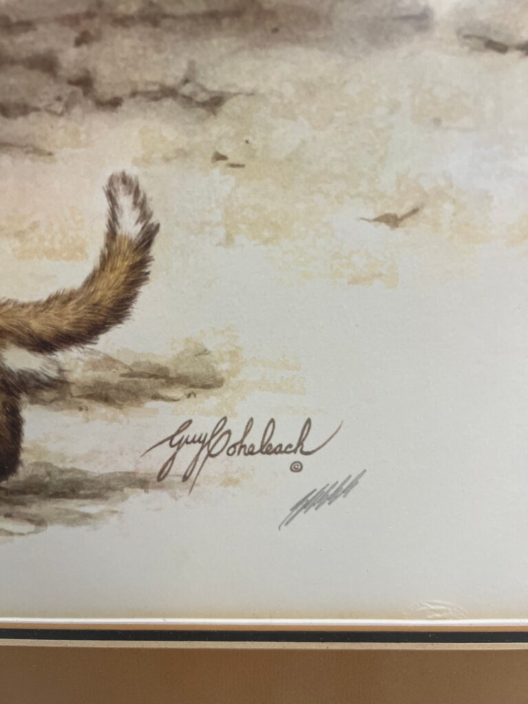 Framed Fox Artwork by Guy Coheleach